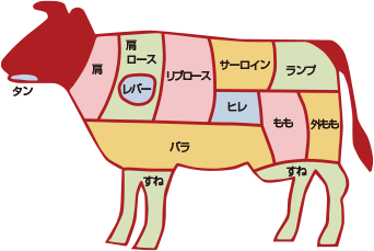 牛肉部位
